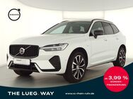 Volvo XC60, T6 Plus Dark Recharge Plug-In Hybrid AWD, Jahr 2023 - Witten