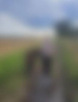 Bri*** - Burgdorf (Landkreis Wolfenbüttel)