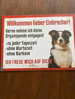 WARNSCHILD HUND - Hagen (Teutoburger Wald)
