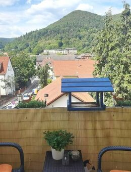 Helle 2-Zimmer-Wohnung mit Balkon - Lambrecht (Pfalz)