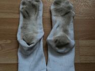 getragene Tennissocken 1 Woche - Berlin