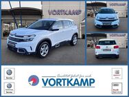 Citroën C5, Aircross Live, Jahr 2019 - Gronau (Westfalen)