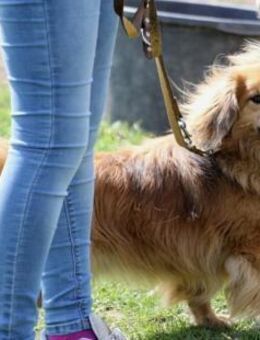 ROBY - zusammen heimelig machen - Overath