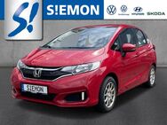 Honda Jazz, 1.3 i-VTEC Trend, Jahr 2018 - Lengerich (Nordrhein-Westfalen)