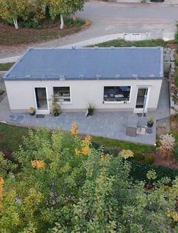 Wo Träume wachsen - Neubau mit Badeteich in sonniger, grüner windgeschützer Lage - Reifenberg