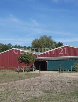 Pferdefreunde aufgepasst - neuwertiges Haus, Stall und Halle im schönen Wendland - Prezelle