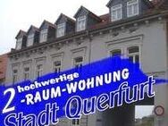 WOHNEN "Am Schießgraben" - TOP moderne 2-Raum-Wohnung in Stadt Querfurt - Querfurt