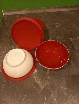 3 Tupperware Alegra Dessert Schüssel - Büdingen