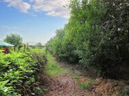 Zeit zur Entspannung: Großes Gartengrundstück in ruhiger Lage von Teutschenthal - Teutschenthal