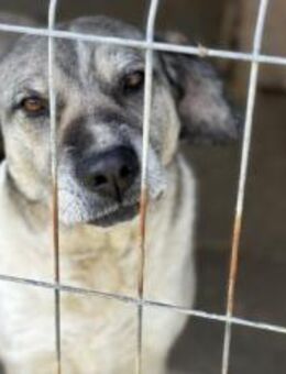 Lässt du Namidas Augen wieder leuchten? - München