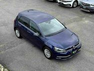 VW Golf, 1.6 TDI VII IQ DRIVE, Jahr 2019 - Schwabach