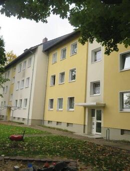 WWS - große familienfreundliche Wohnung im Herforder Westen - Herford (Hansestadt)