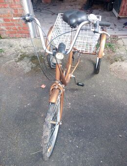 3 rädriges Fahrrad mit Gepäckträgekorb 7 Gang - Wanzleben-Börde Wanzleben