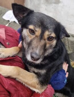 Bea ist ein Schatz - Bielefeld