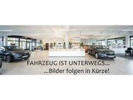 Skoda Fabia, 1.0 TSI Combi Ambition BLIND SP SMART, Jahr 2022 - Kelheim