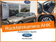 Ford Focus, 1.0 EcoBoost Titanium Style Rückfahrka, Jahr 2018 - Grimmen