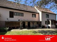 Landliebe trifft Lebensraum! - Schönburg