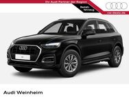 Audi Q5, 35 TDI, Jahr 2022 - Weinheim