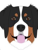 Berner Sennenhündin Welpe gesucht in 23744