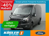 Ford Transit, Kasten 350 L2H2 Trail 130PS, Jahr 2024 - Bad Nauheim