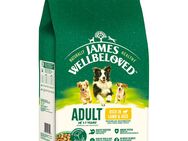 James Wellbeloved Adult Dog Hypoallergenic Lamm & Reis - Sparpaket: 2 x 12 kg