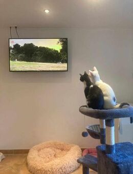 Penny und Pepe - Margetshöchheim