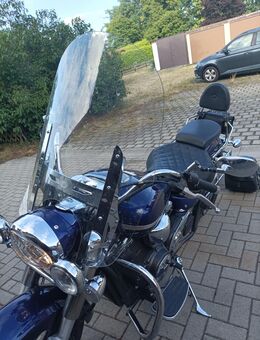Verkaufe meine Yamaha XVS 1300 A - Hornow-Wadelsdorf