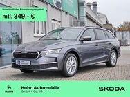 Skoda Octavia, 2.0 TDI Selection Licht Sicht PL, Jahr 2024 - Kornwestheim