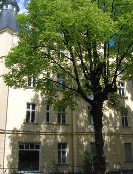 Helle 2 Zimmer Altbauwohnung - Berlin