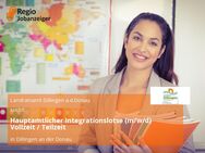 Hauptamtlicher Integrationslotse (m/w/d) Vollzeit / Teilzeit - Dillingen (Donau)