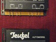 2 Stk. passive Frequenzweichen bzw. Automodule von TEUFEL: 2 x AM250 für Bass/Subwoofer (Impedanz 4 Ohm, Belastbarkeit 250 Watt); 25 € - Unterleinleiter