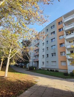 * Nachvermietung * Küche optional zu übernehmen * Südpark * - Halle (Saale)