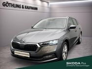 Skoda Octavia, 2.0 TSI IV Combi Style, Jahr 2024 - Hofheim (Taunus)