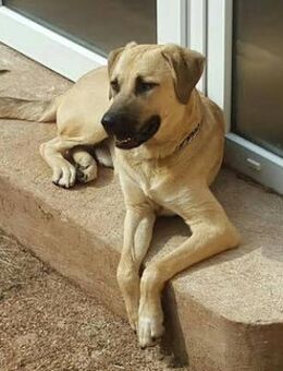 Chum - noch lange kein Opa - Berlin