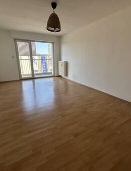 2er/3er-WG oder kleine Familie gesucht! Große Wohnung mit zwei Balkonen - Mannheim