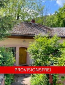 Provisionsfreies Liebhaberobjekt! Ehemalige Fabrikantenvilla in Frankeneck - Frankeneck