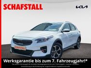 Kia - Bergheim (Nordrhein-Westfalen)