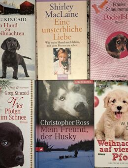 ❗6 tolle Hunde-Bücher❗ - Dassel