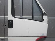 Tür Beifahrerseite original Fiat Ducato 290 ca 146 x 97 gebrauch - Schotten Zentrum