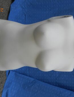 Plus Size Damentorso - OW 115 cm - München Maxvorstadt