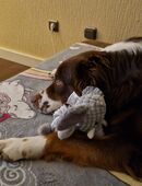 SKY 2 JAHRE in 58456