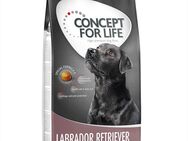 2 x 12 kg / 4 kg Concept for Life Adult zum Sonderpreis! - Labrador Retriever Adult (2 x 12 kg)