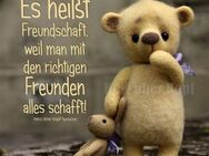 Freund(in) gesucht - Witzenhausen