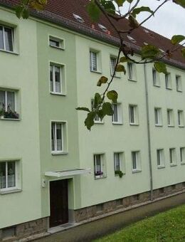 Frisch sanierte Dreiraumwohnung in schöner Wohnlage! - Crimmitschau