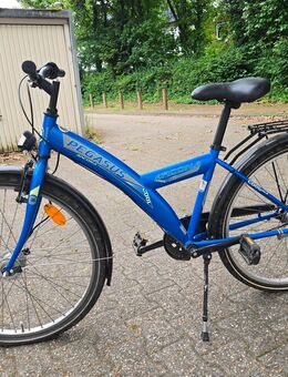 Pegasus Arcona 24 Zoll Jungen Fahrrad - Neuss