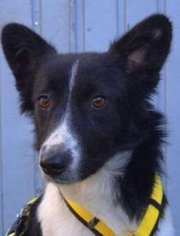 Suleika ❤️ herzliche sanfte Seele - Velbert