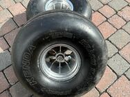 Buggy Landsegler Strandsegler Alufelgen Rims 8x8 Airtrack Seagull - Alpen
