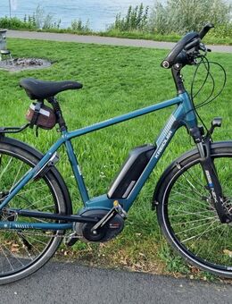Pedelec Kreidler Vitaly Eco 6 - Bodenheim