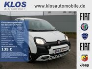 Fiat Panda, 1.0 CROSS CITY PLUS HYBRID GSE TECH, Jahr 2023 - Dreieich