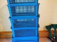 11 kleine und 8 große Aufbewahrungskörbe – gebraucht - Wutha-Farnroda